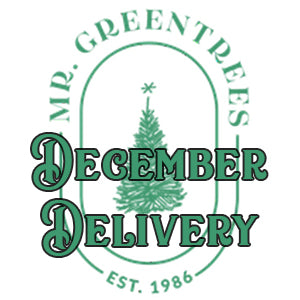 December Delivery Time Slots