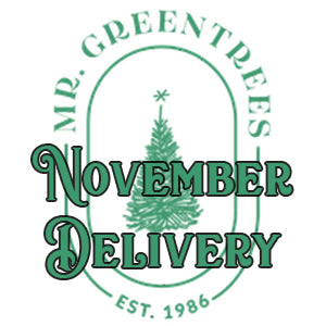 November Delivery Time Slots